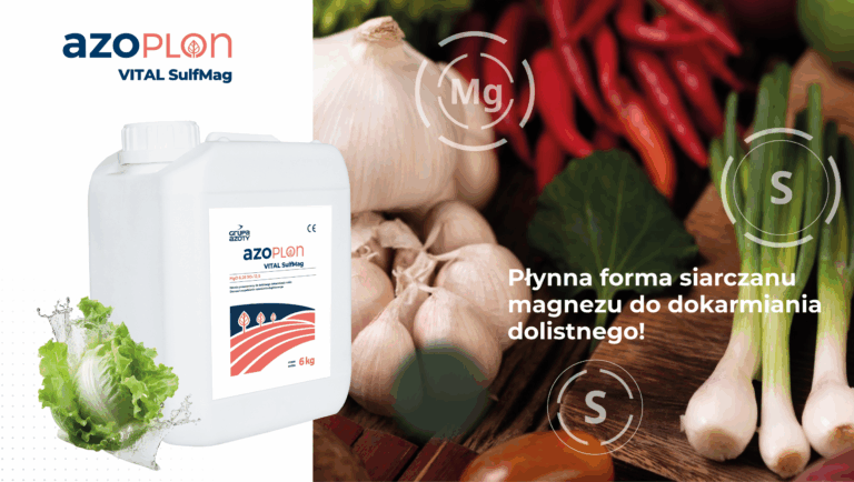 baner-www-GACH-sulfmag